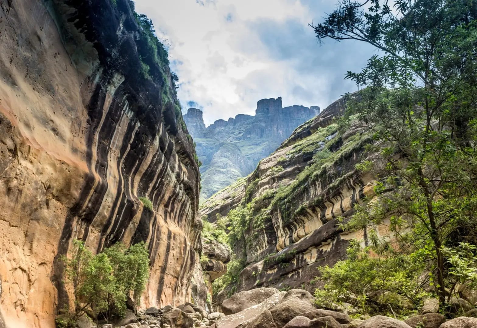Drakensberg Mountains
