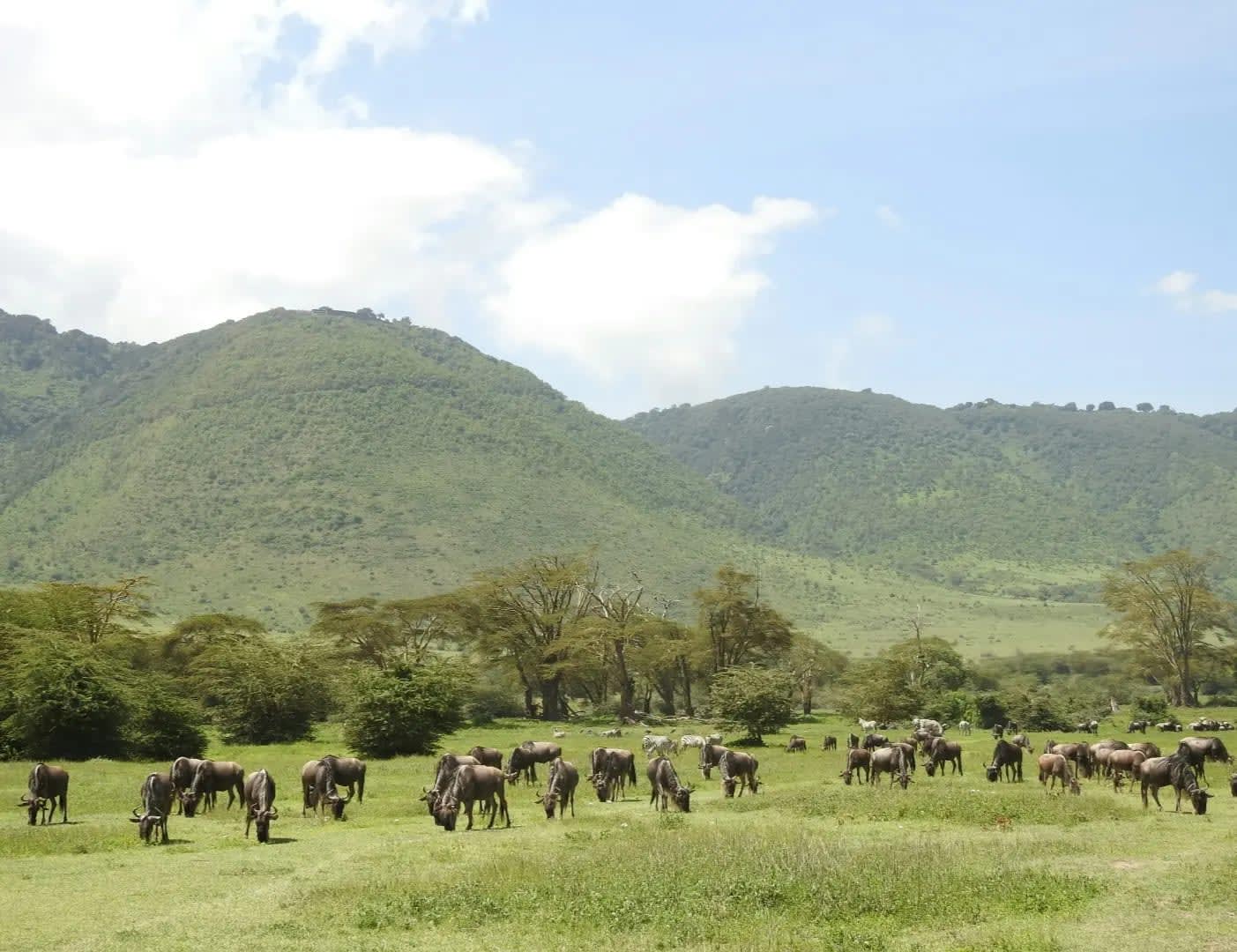 Discover Ngorongoro Crater