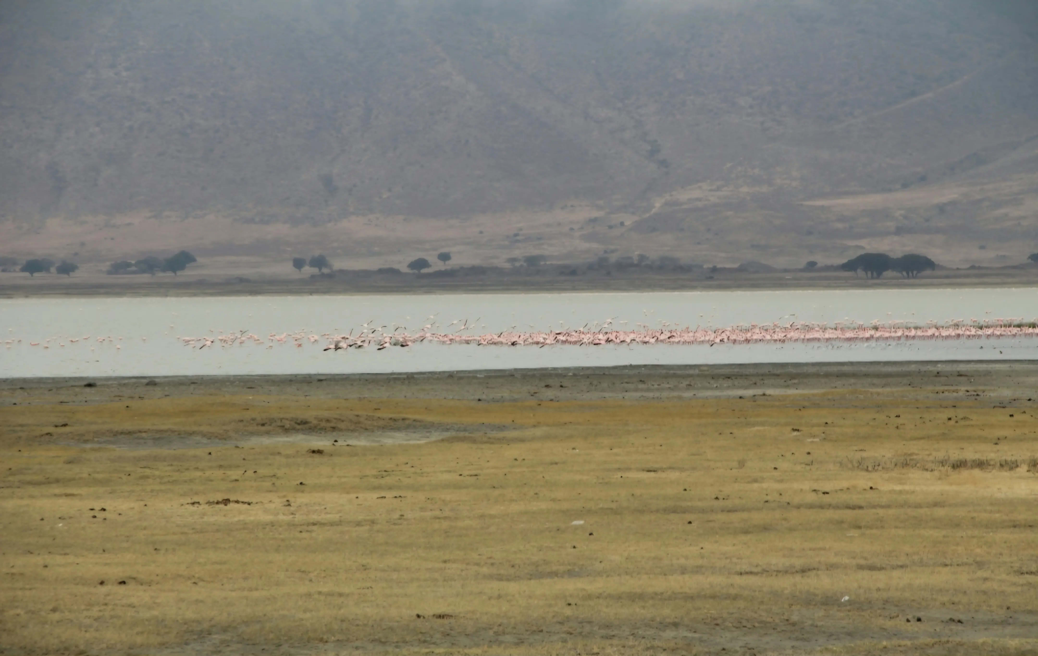 Discover Ngorongoro Crater