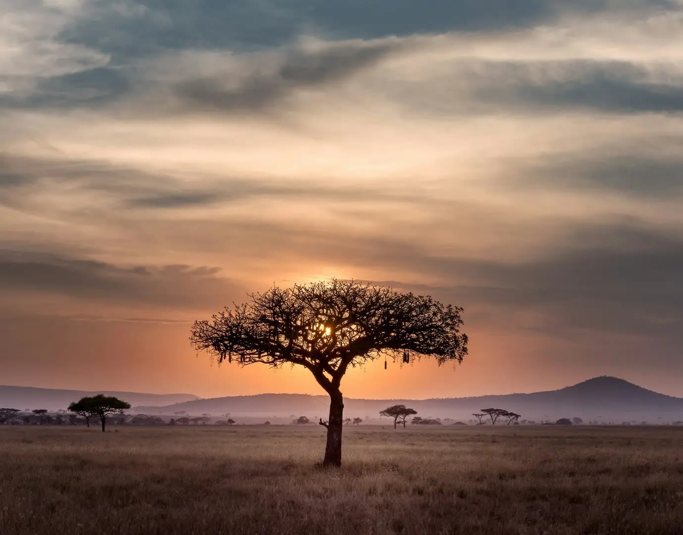 Discover Ruaha National Park 