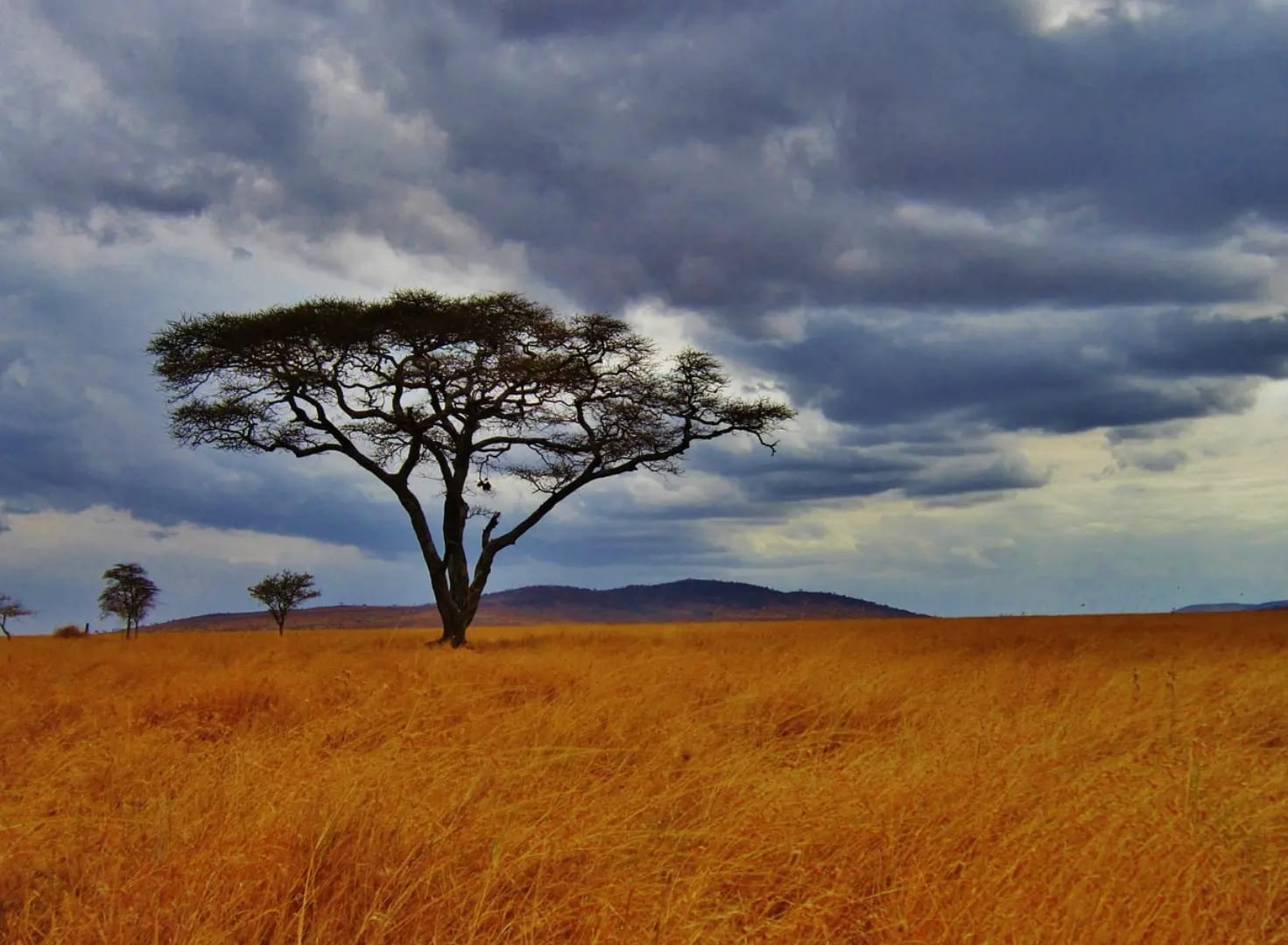 Discover Serengeti National Park