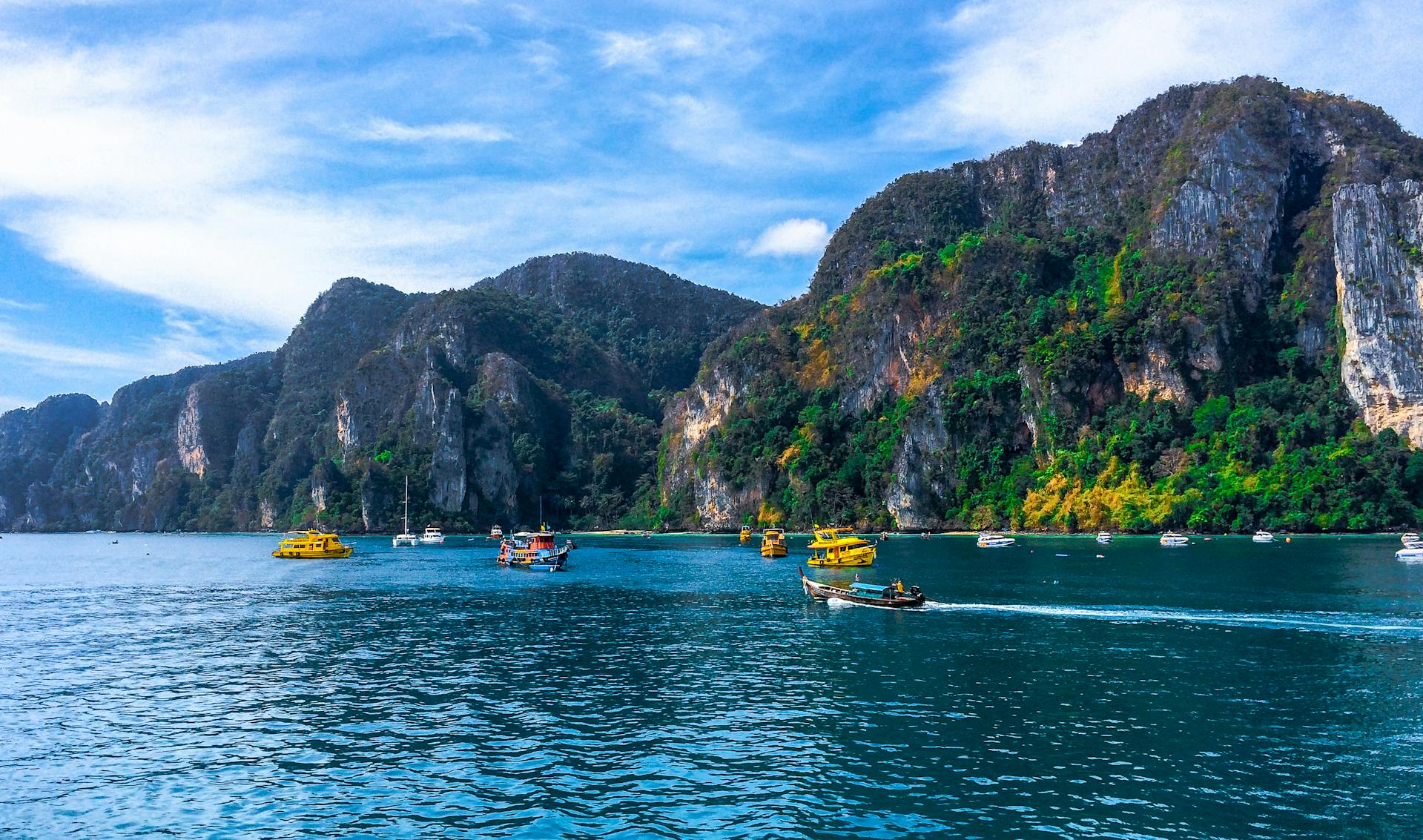 Khao Sok rainforest and lake view