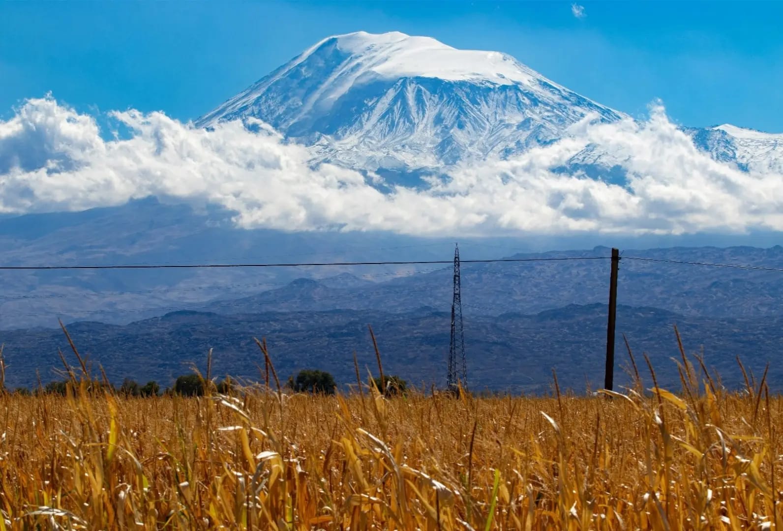 grass with snowy mountain in the background, AgriDagi