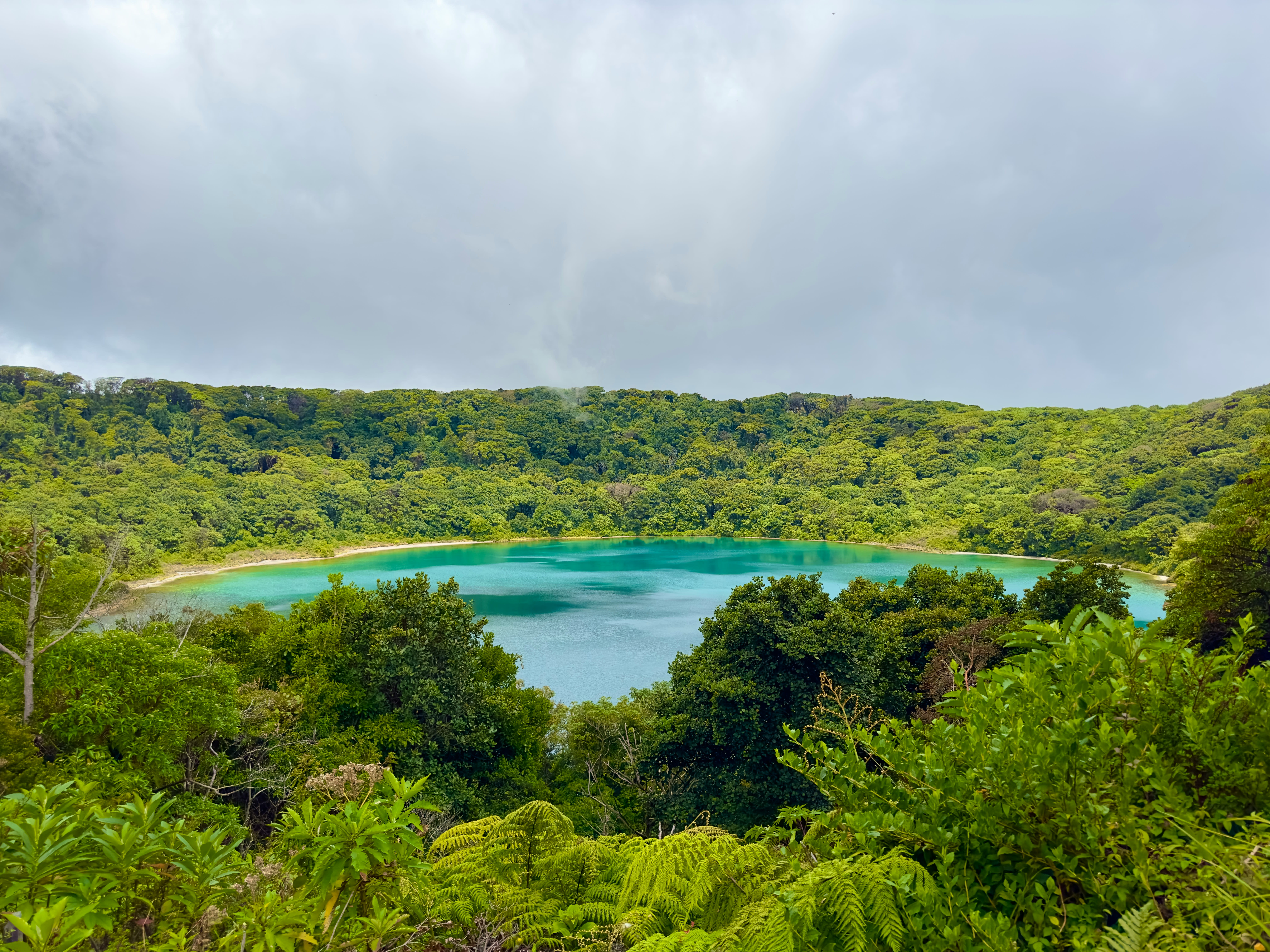 Crystal-clear blue water surrounded by tropical forest