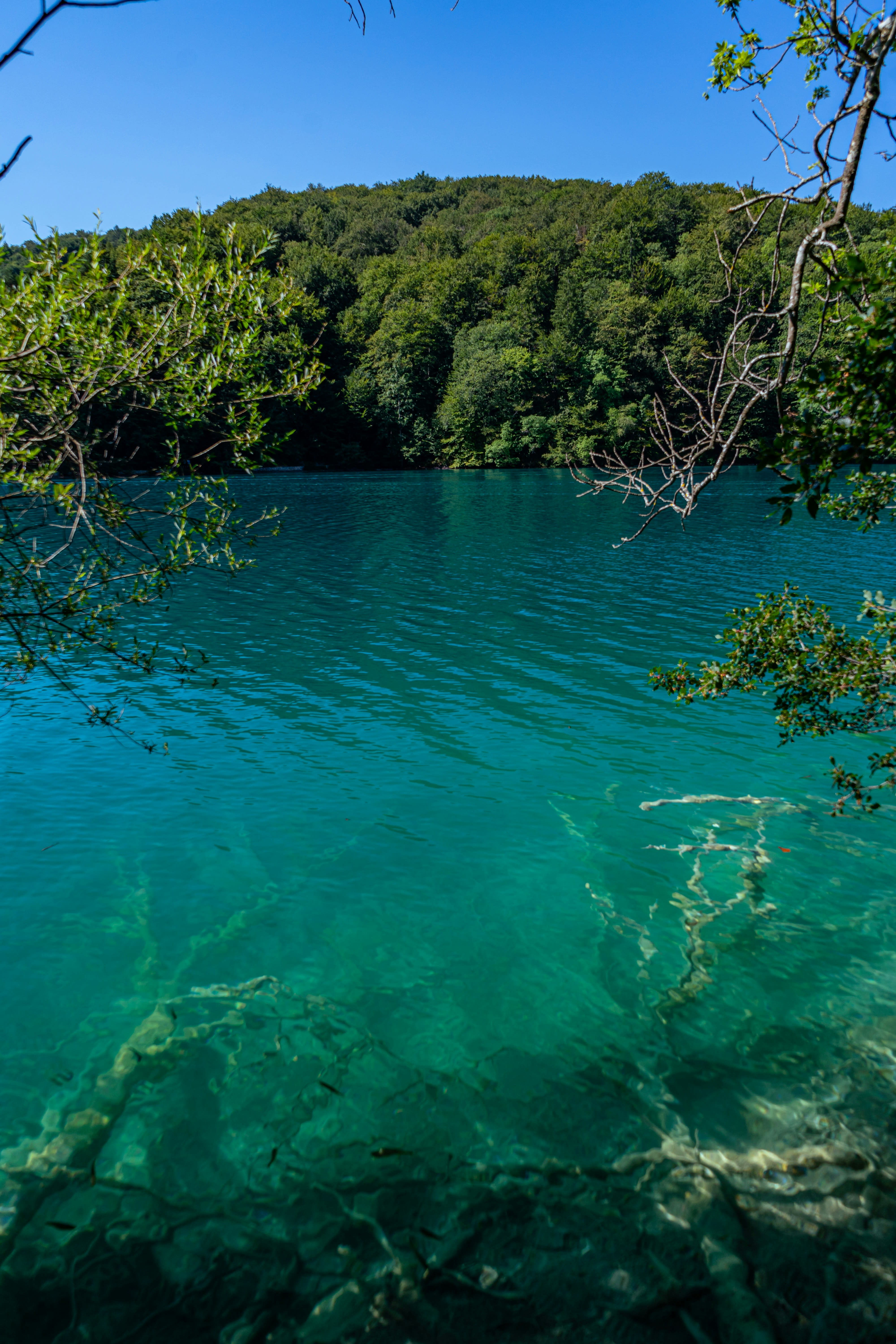 Discover Blue Holes of Espiritu Santo