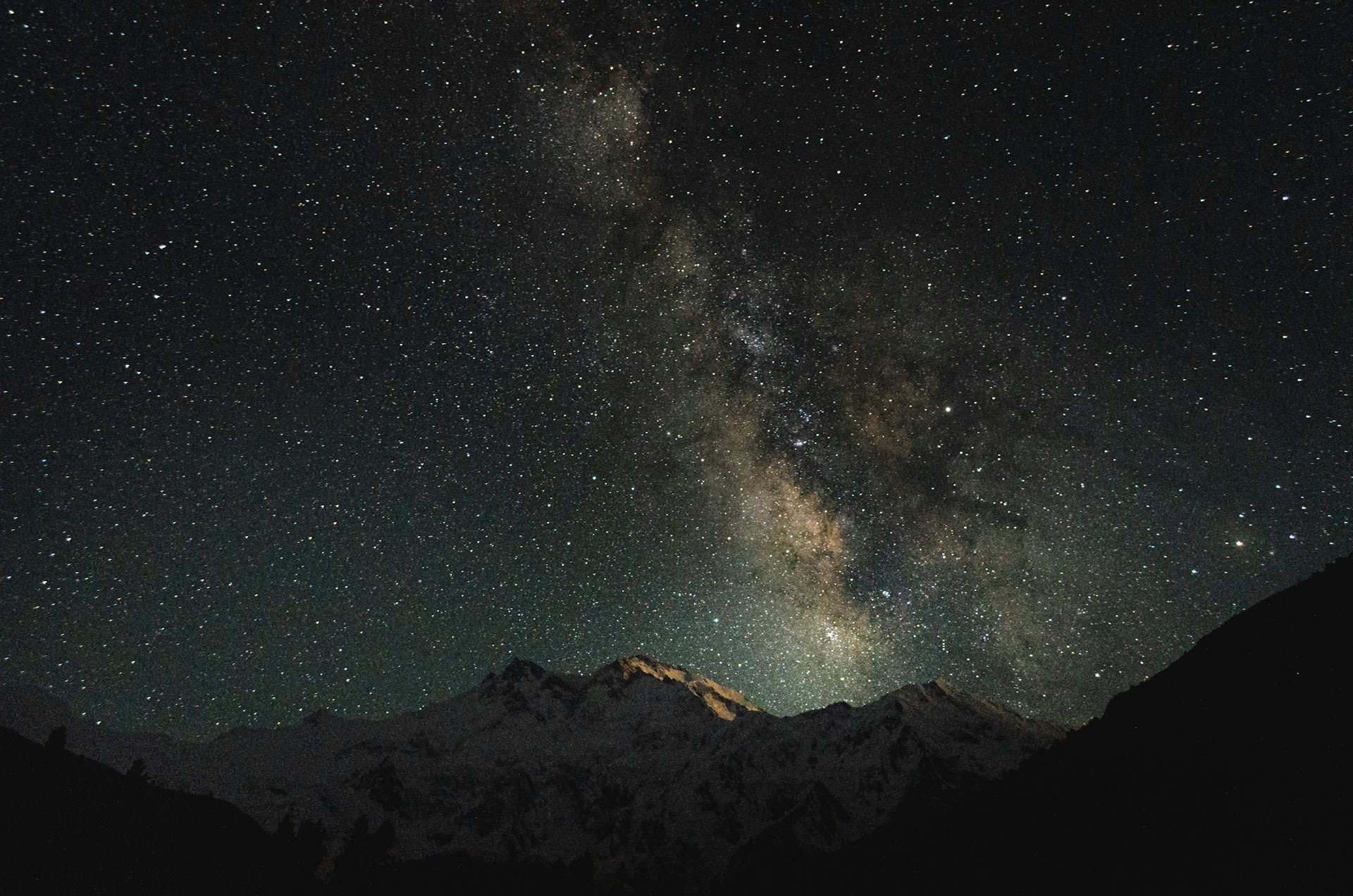 Alpine wildflower meadow below the Nanga Parbat massif in the Diamir Valley, Pakistan