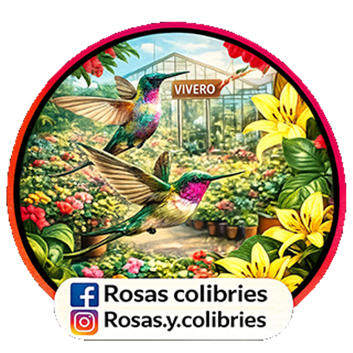 Rosas Colibries