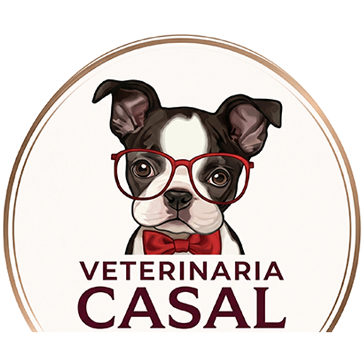 Veterinaria Casal