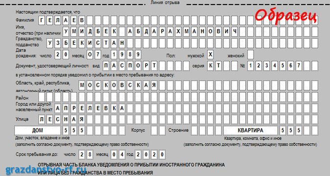 Образец временной регистрации иностранного гражданина