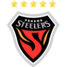 Pohang Steelers logo