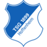 TSG 1899 Hoffenheim logo