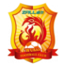 Wuhan Yangtze River FC logo