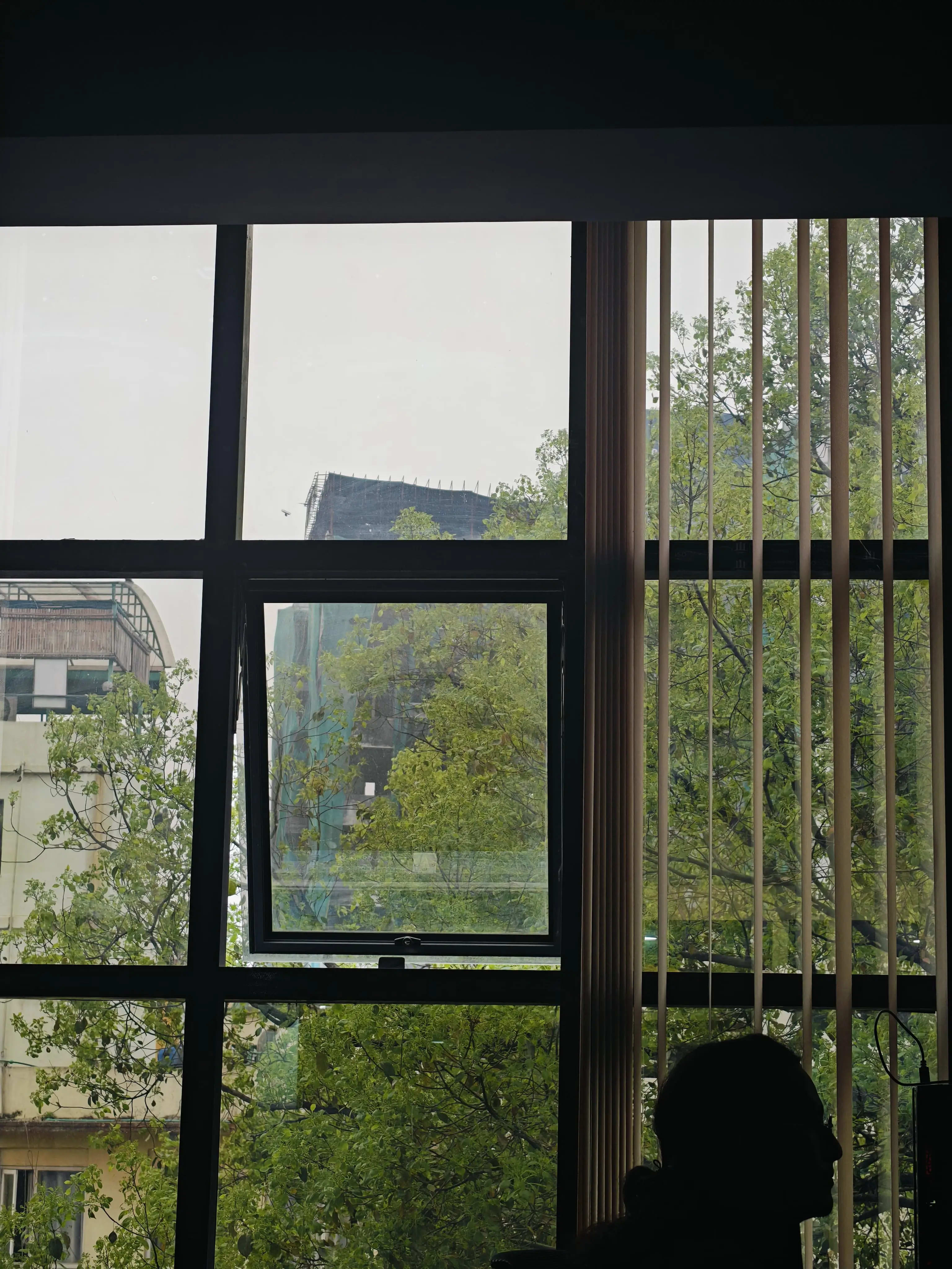 the silhouette at office.