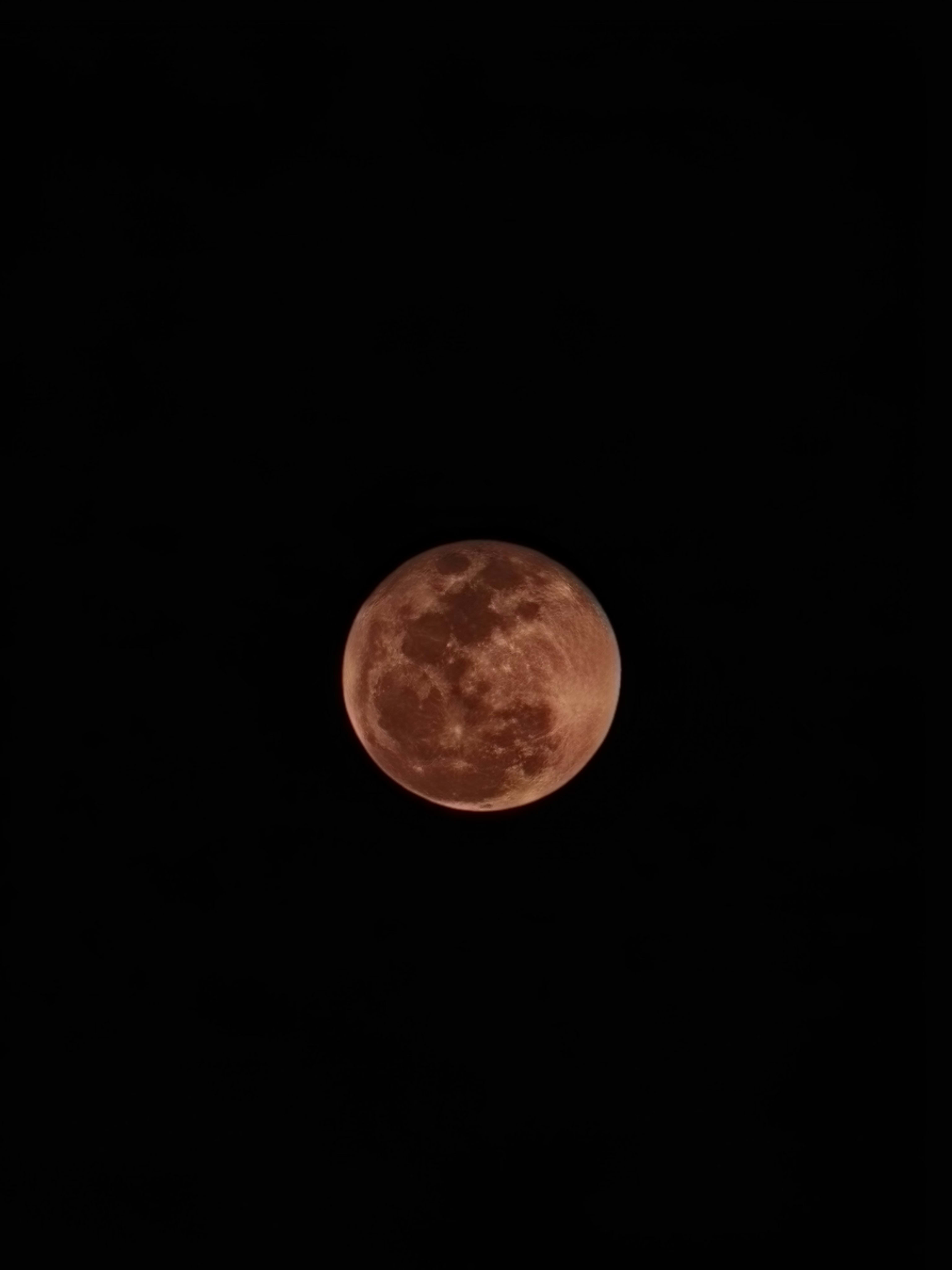 the blood moon.