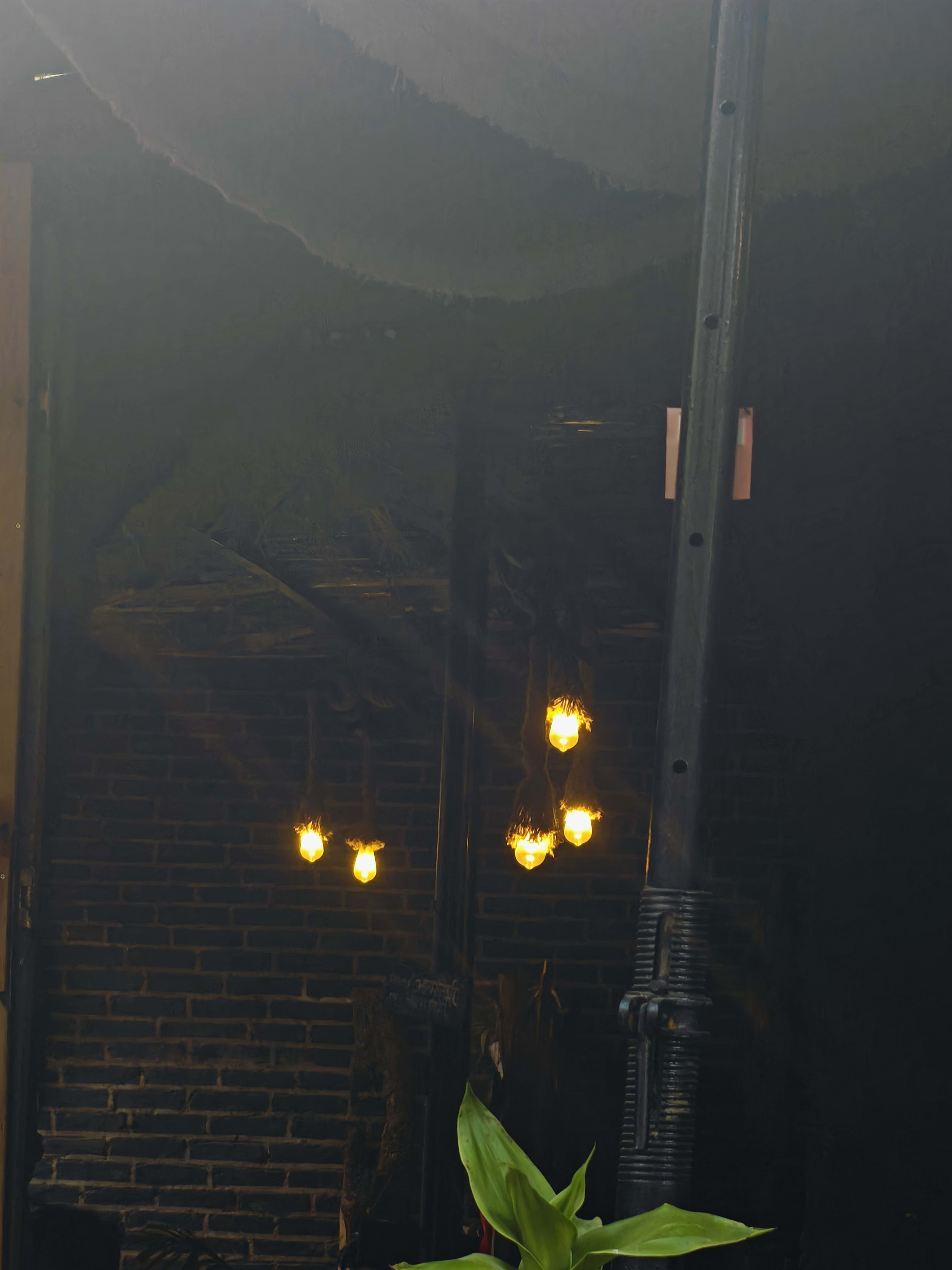 the lonely lights.