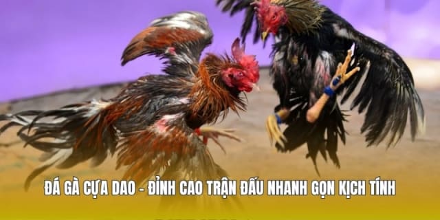 Dăng Ký Thabet Nhanh Chóng - Hướng Dẫn Tạo Tài Khoản Dễ Dàng