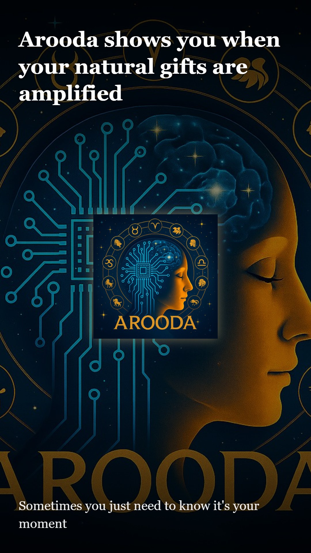 Arooda — slide 5