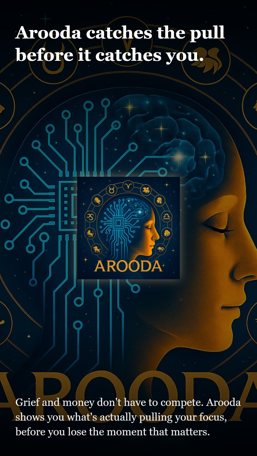Arooda — slide 5