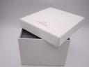 Opened white outer box with gold omega logo, part of the original packaging.