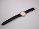 Overhead view of the omega seamaster watch with its black leather strap laid flat.