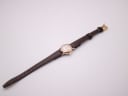 Overhead view of the entire EBEL watch laid flat, displaying the brown leather strap and gold buckle.