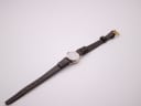 Back view of the EBEL watch laid flat, showing the stainless steel case back and the full length of the strap.