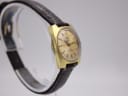 Angled view of the Tissot Seastar Seven showing the dial, case and textured brown leather strap.