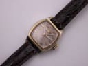 Close-up front view of the Citizen watch dial, showing the champagne texture, applied gold baton indices, and hands.
