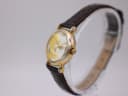 Angled side view of the Tweety Bird watch, showing the gold-tone case and brown strap on a transparent stand.