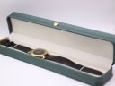 Raymond Weil watch displayed in a generic green presentation box.