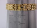 Watch bracelet wrapped around a wrist sizing gauge, indicating a circumference of 165mm / 16.5cm.