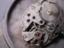 Detailed macro shot of the watch's manual wind movement, displaying intricate gears, plates, and visible jewels.