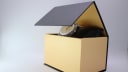 The Swatch watch sitting inside a generic gold and black presentation box.