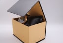 The Ingersoll watch nestled in a generic brown presentation box with black lining.
