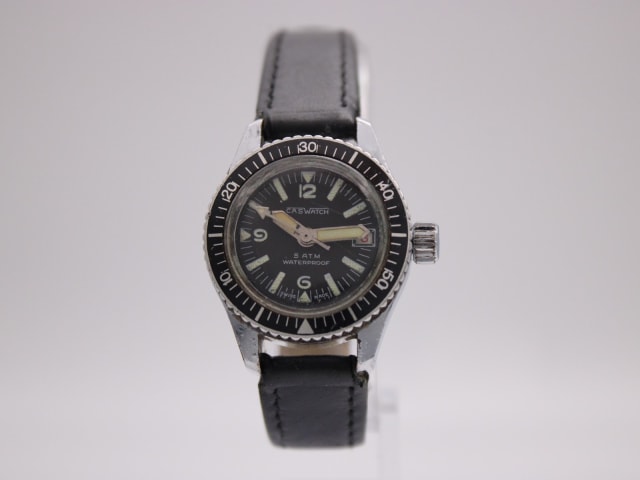 Caswatch - photo 1