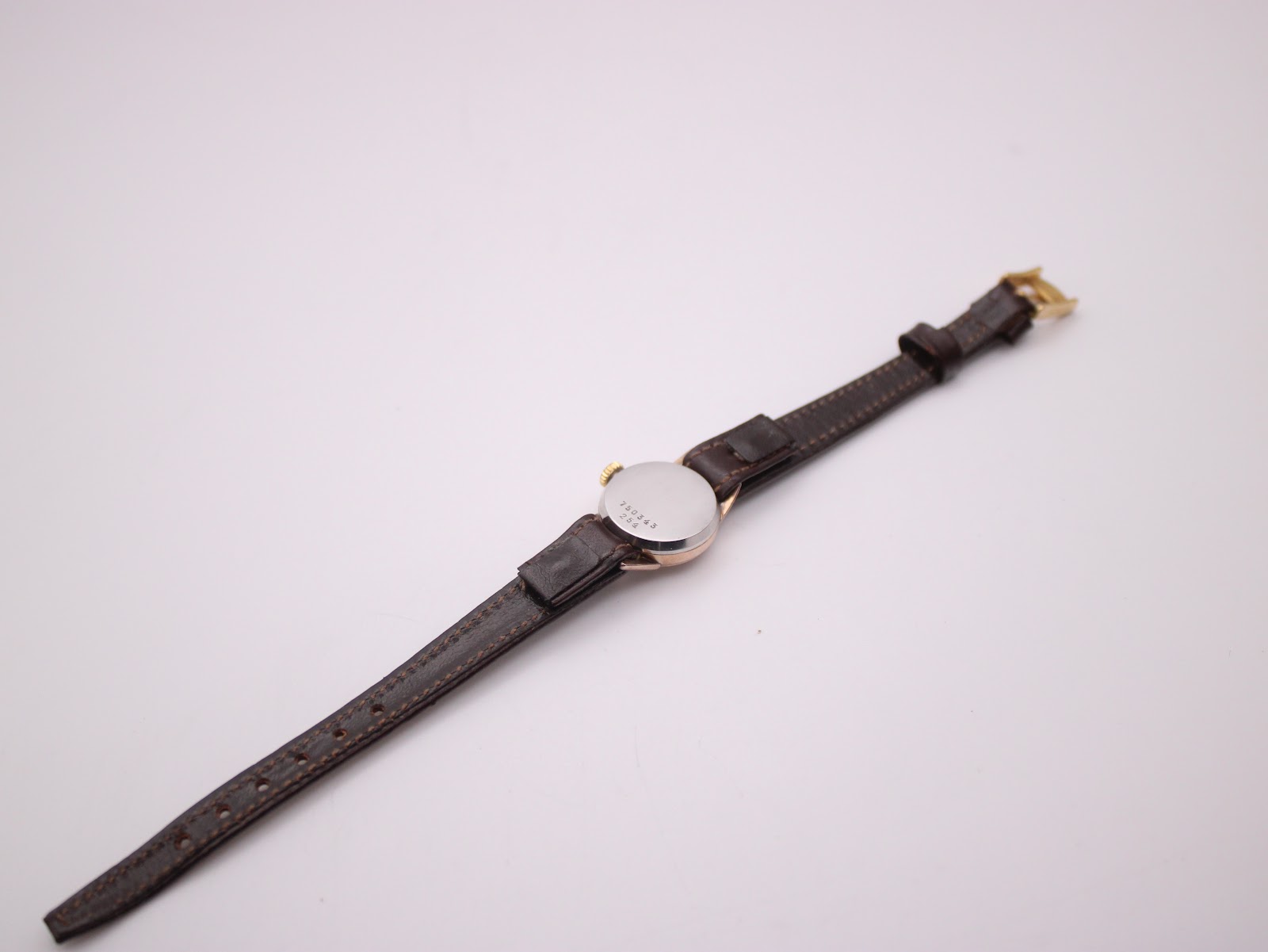 Back view of the EBEL watch laid flat, showing the stainless steel case back and the full length of the strap.
