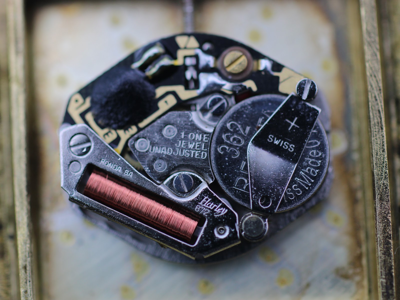 Detailed close-up of the stainless steel case back with "STAINLESS STEEL BACK" engraving.