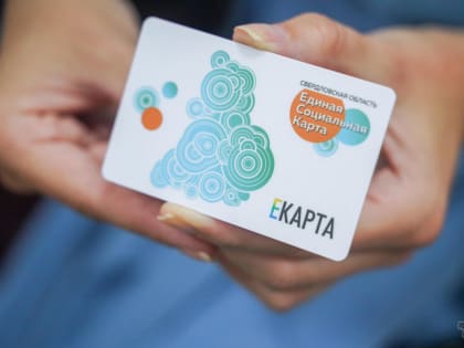 К 2025 году обладателей социальной карты «Уралочка» будет один миллион