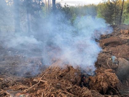 «Гори, гори ясно»: в Свердловской области зимой потушили 50 га торфяных пожаров