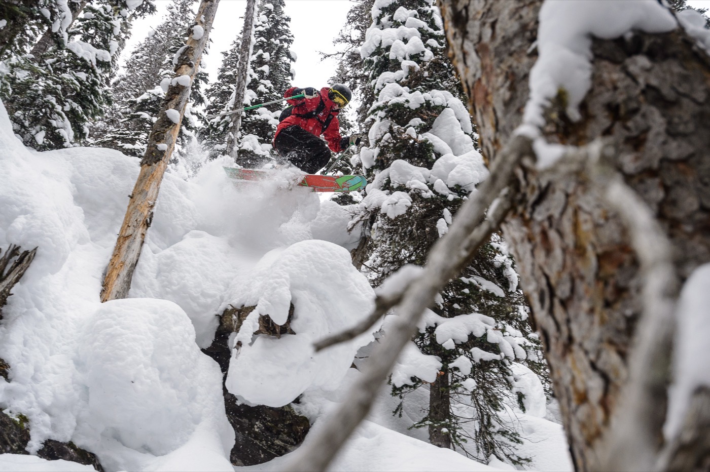 Esqui entre arboles en Columbia Britanica