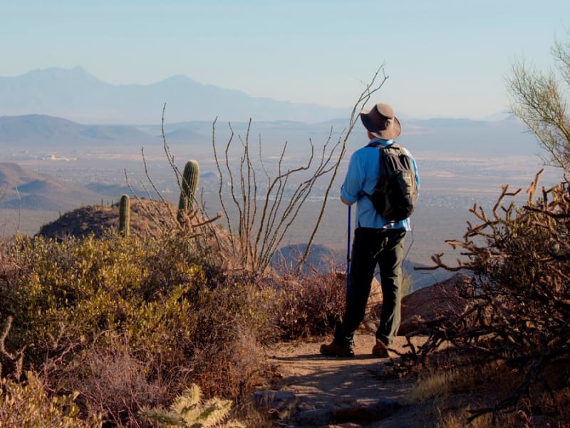 Phoenix to Las Vegas