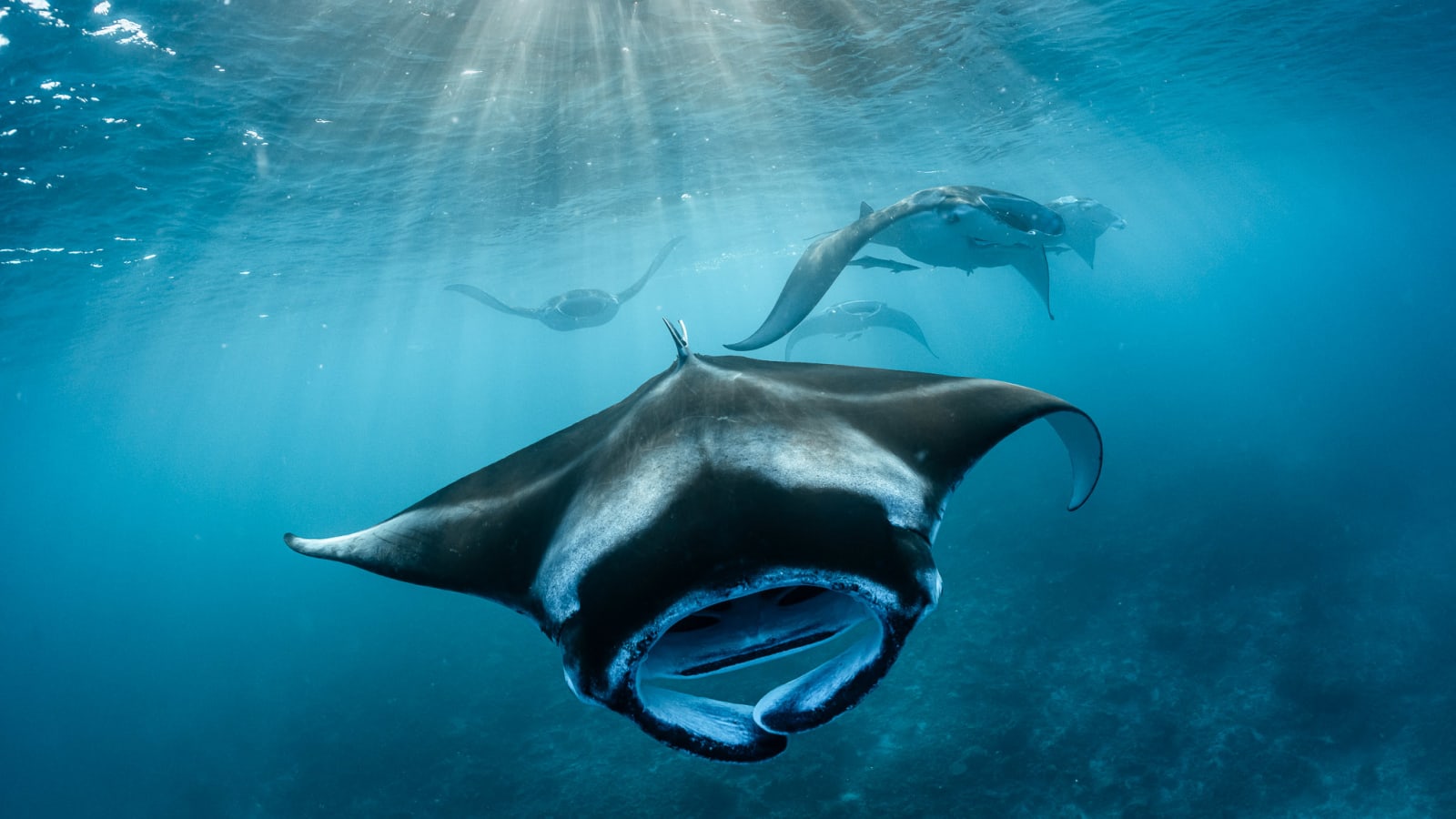 Buceo en Maldivas