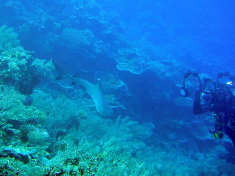 Palau