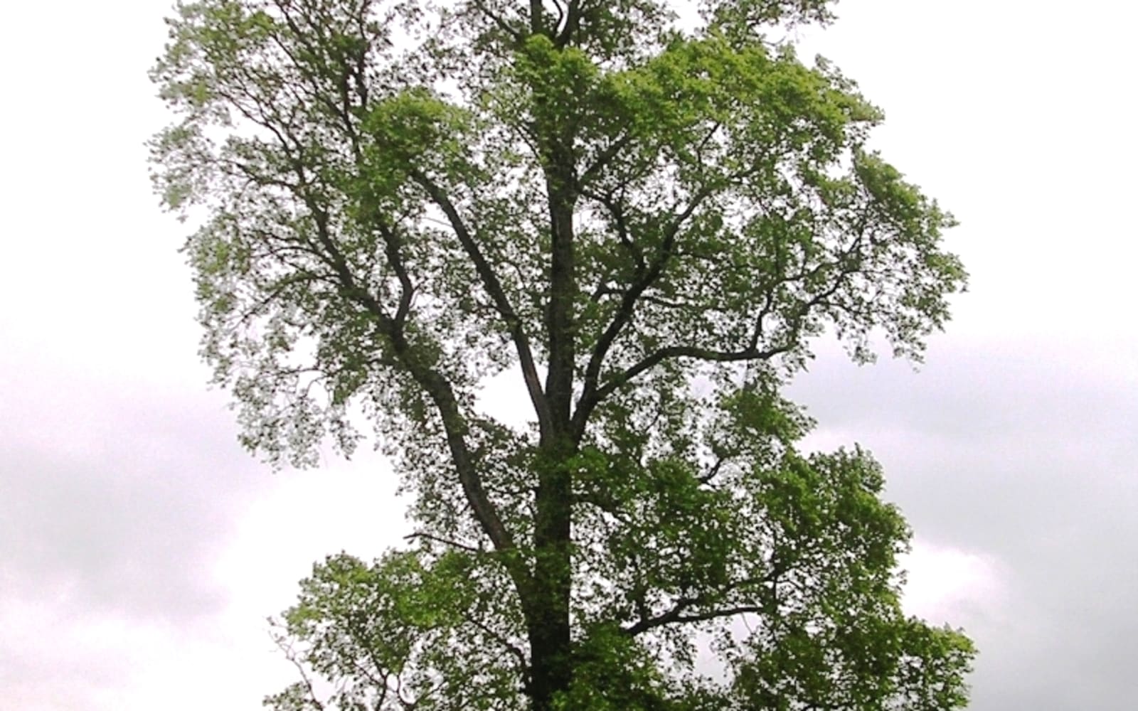 Elm, Suiza
