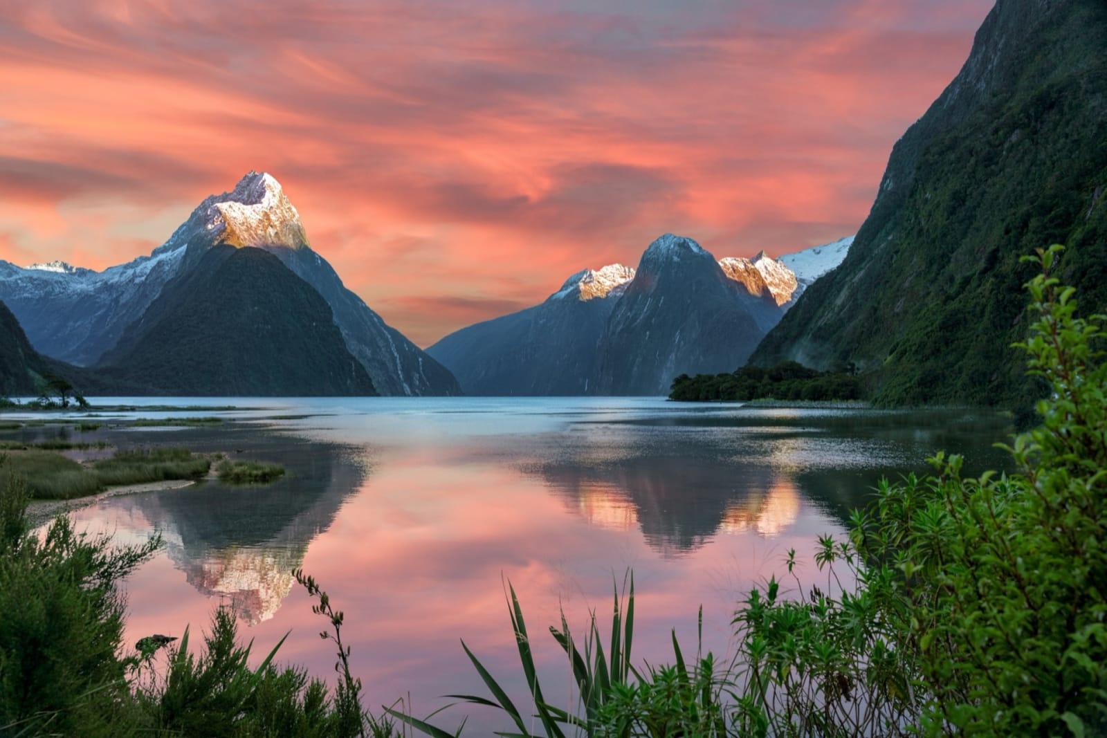 Fiordland profundo — Doubtful Sound y Southland 7 días