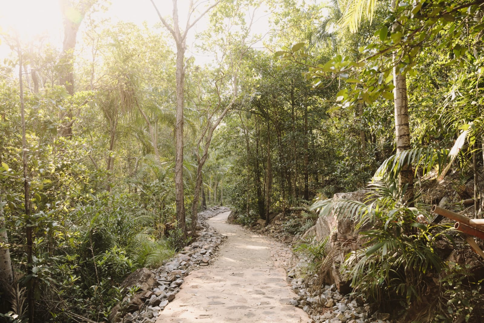Cape York Telegraph Track — punta norte de Australia (4WD)