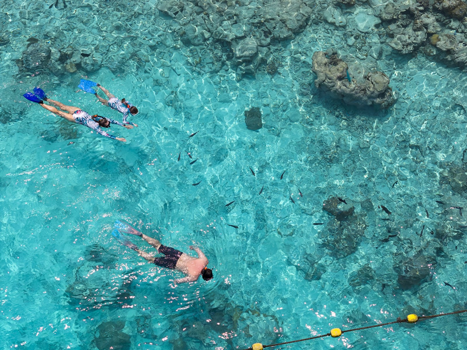 Niva Kuramathi — Snorkle family (vista drone)