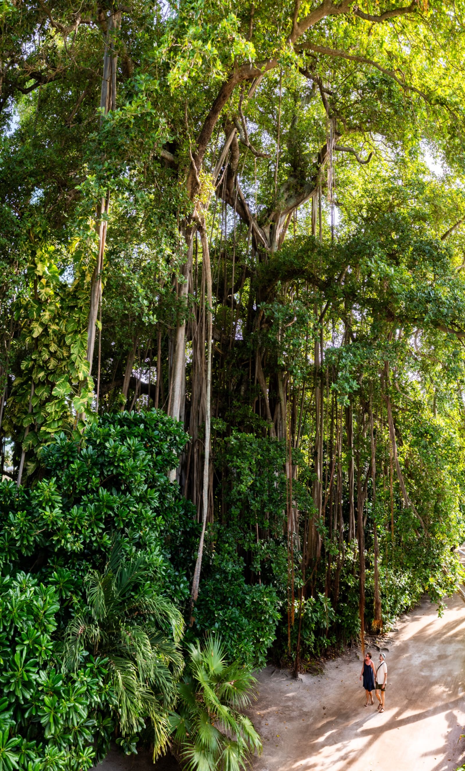 Niva Kuramathi — Kuramathi Banyan Tree