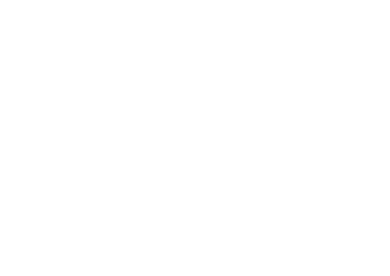 Roadbear