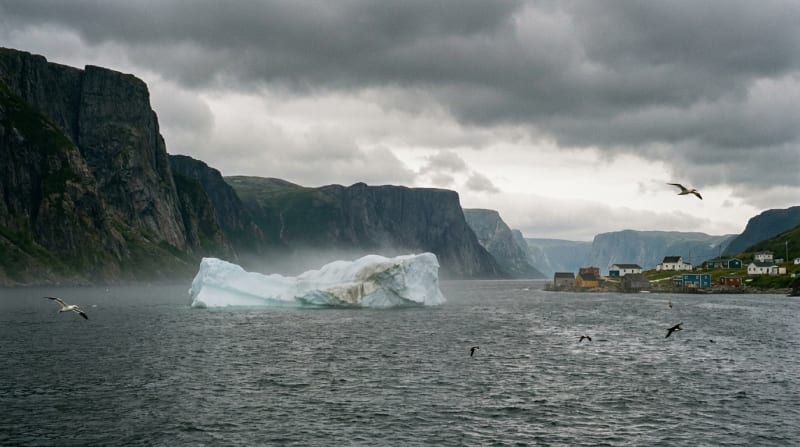 Deer Lake → Gros Morne (Rocky Harbour)